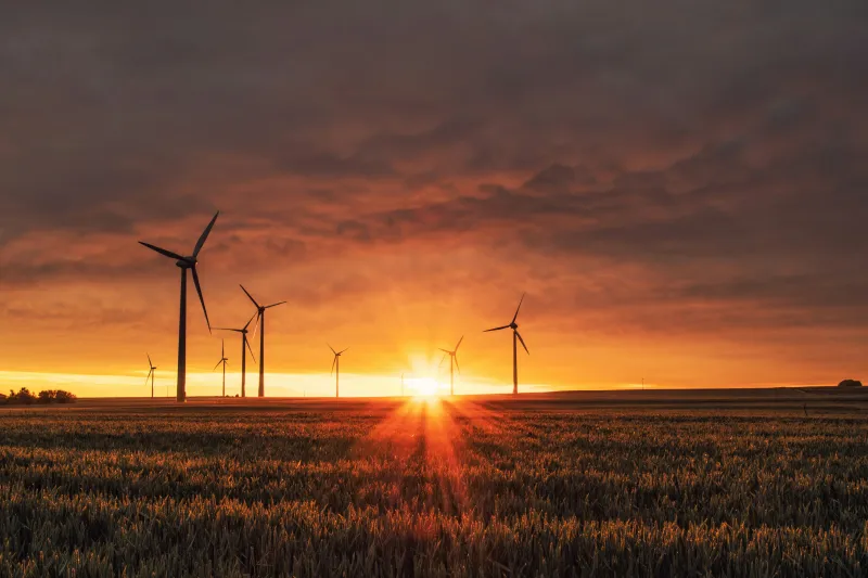 Windfarm against sunset