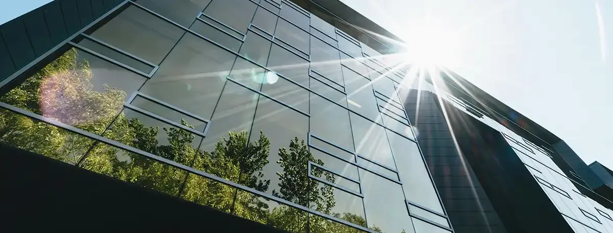 Reflection of trees on tall building windows