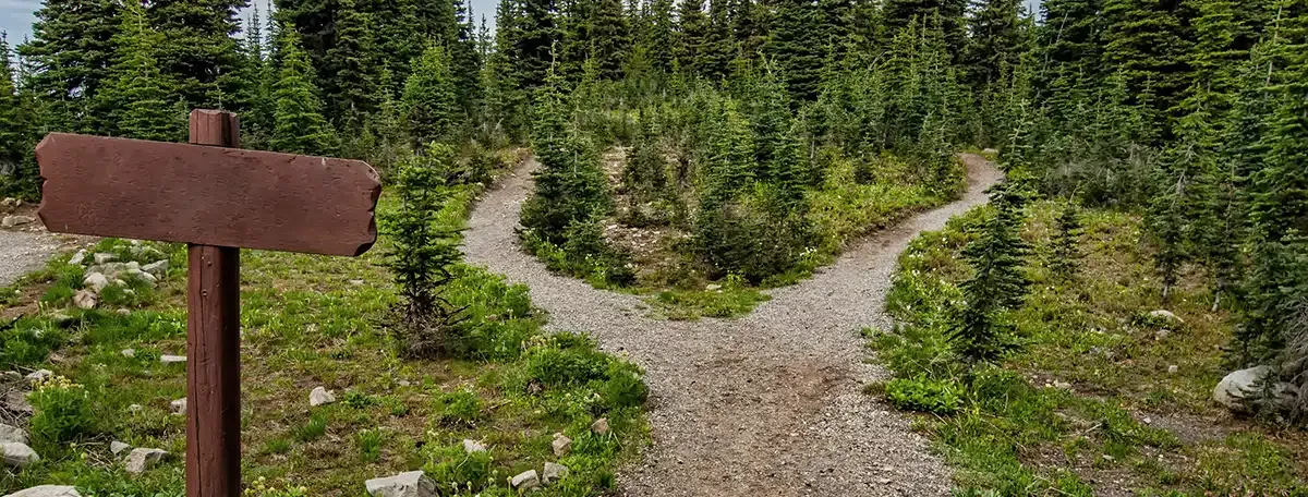 Pathway splitting into two