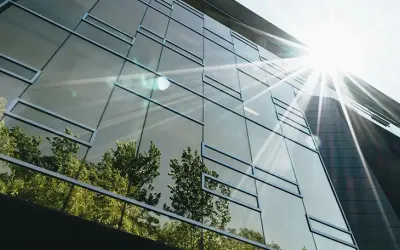 Reflection of trees on tall building windows