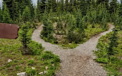 Pathway splitting into two