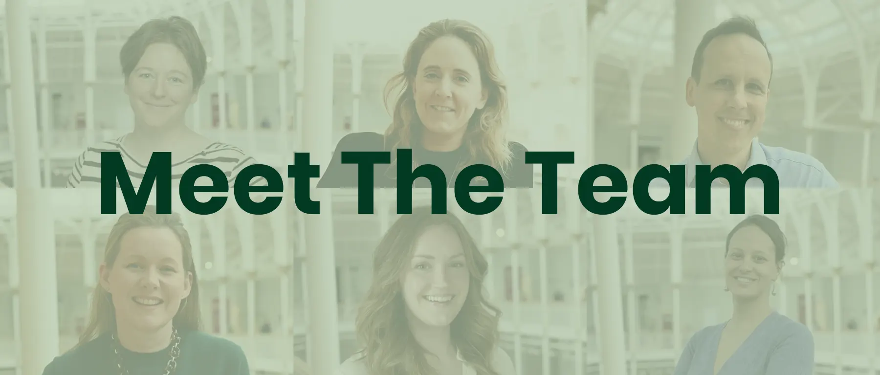 Meet the team